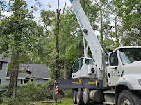 Gator Tree Service - Photo 3 - Car repair in , Gainesville