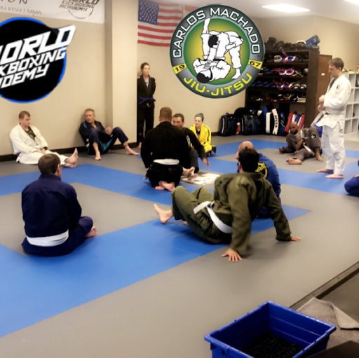 Martial Arts School «World Kickboxing Academy and Brazilian Jiu Jitsu of Cuyahoga Falls», reviews and photos, 1830 Portage Trail, Cuyahoga Falls, OH 44223, USA