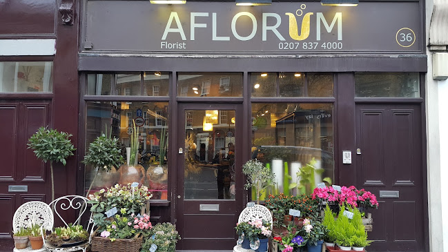 Aflorum - Florist