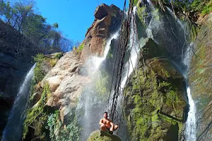 Cascada el Bosque image