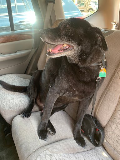 Pet Supply Store «Petco Animal Supplies», reviews and photos, 4030 N MacArthur Blvd #200, Irving, TX 75038, USA