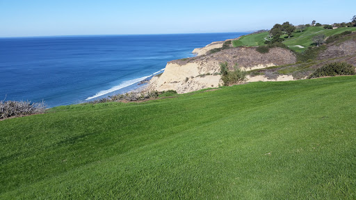 Nature Preserve «Torrey Pines State Reserve», reviews and photos, 12600 N Torrey Pines Rd, La Jolla, CA 92037, USA