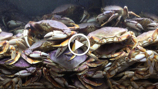 Asian Grocery Store «Uwajimaya», reviews and photos, 600 5th Ave S, Seattle, WA 98104, USA