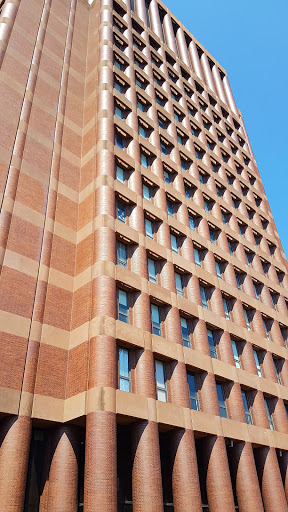 University «Yale University», reviews and photos