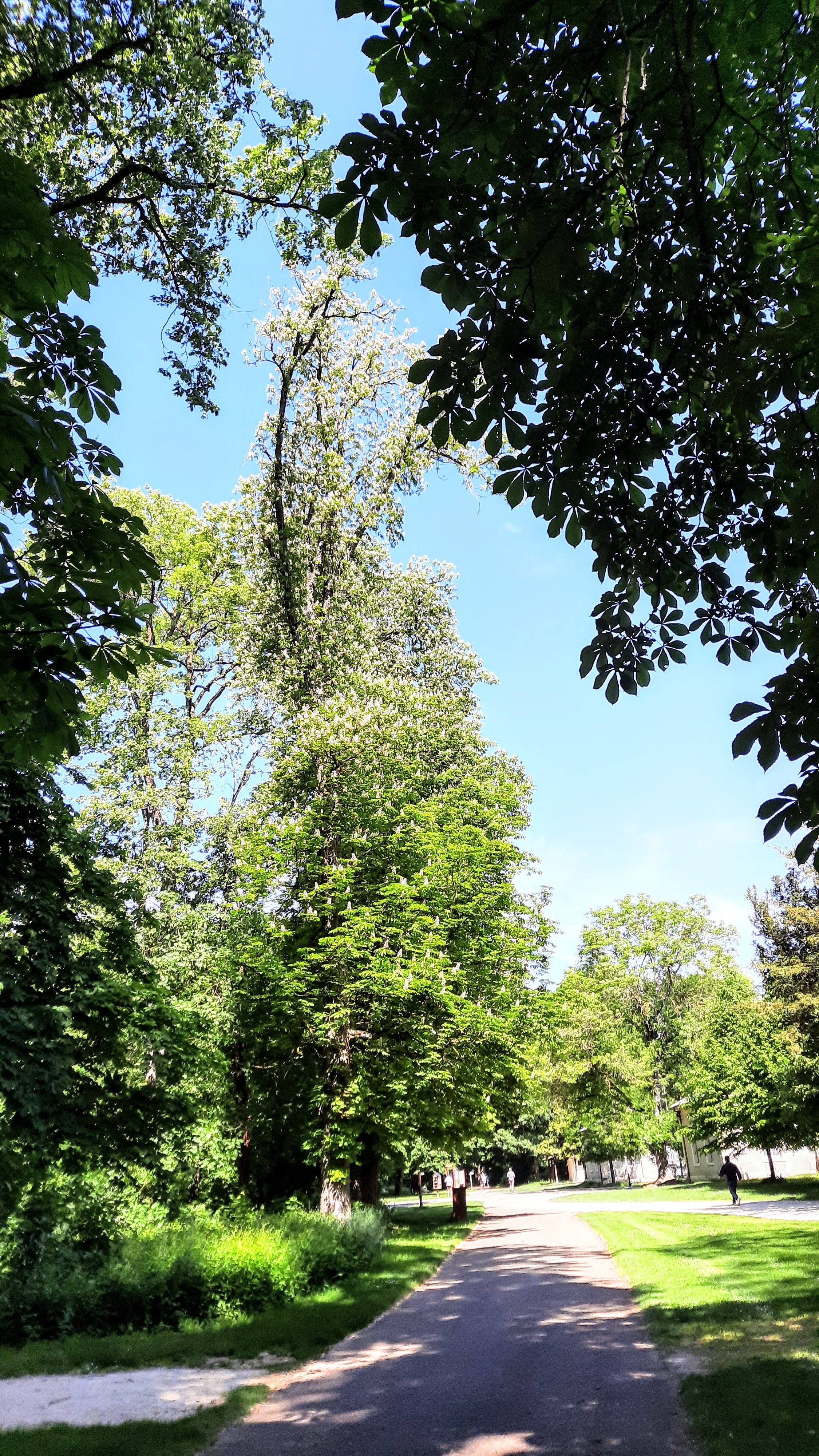 Photo n° 1 de l'avis de Michelle. fait le 14/07/2019 à 13:51