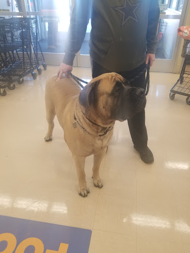 Pet Supply Store «Petco Animal Supplies», reviews and photos, 3055 N President George Bush Hwy, Garland, TX 75040, USA