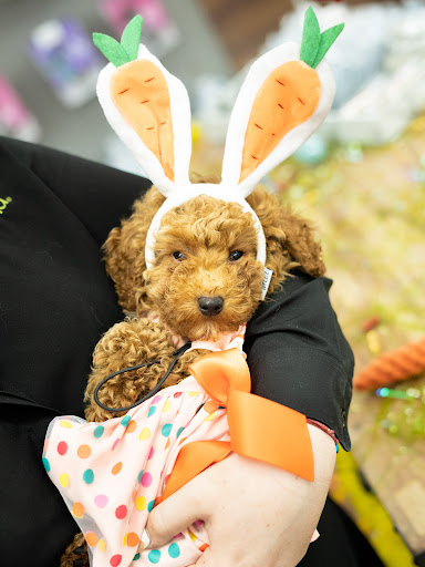 Pet Supply Store «Petland Tyler», reviews and photos, 4512 S Broadway Ave, Tyler, TX 75703, USA