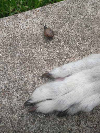 Park «James McKnight Park East», reviews and photos, 700 U.S. 287 Frontage Rd, Mansfield, TX 76063, USA