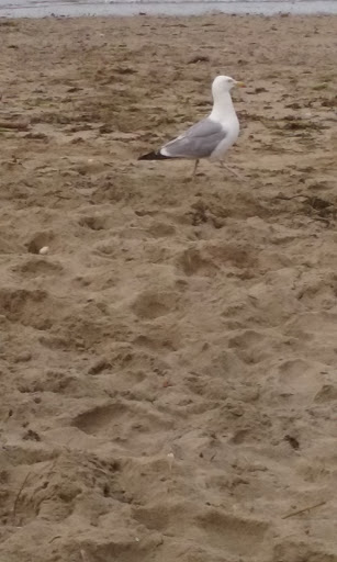 Campground «Winter Island Park», reviews and photos, 50 Winter Island Rd, Salem, MA 01970, USA