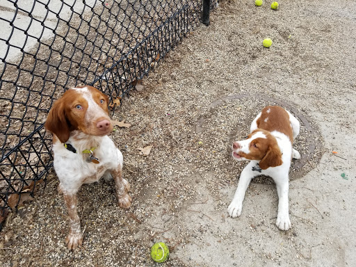 Dog Park «Wiggly Field Dog Friendly Area», reviews and photos, 2645 N Sheffield Ave, Chicago, IL 60614, USA