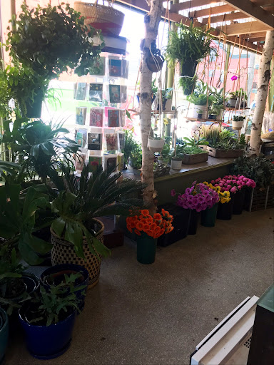 Florist «Jephry Flower Studio», reviews and photos, 432 Broadway, Providence, RI 02909, USA