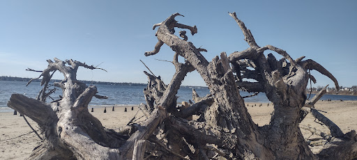 Park «Rose Larisa Park», reviews and photos, 701 Bullocks Point Ave, Riverside, RI 02915, USA