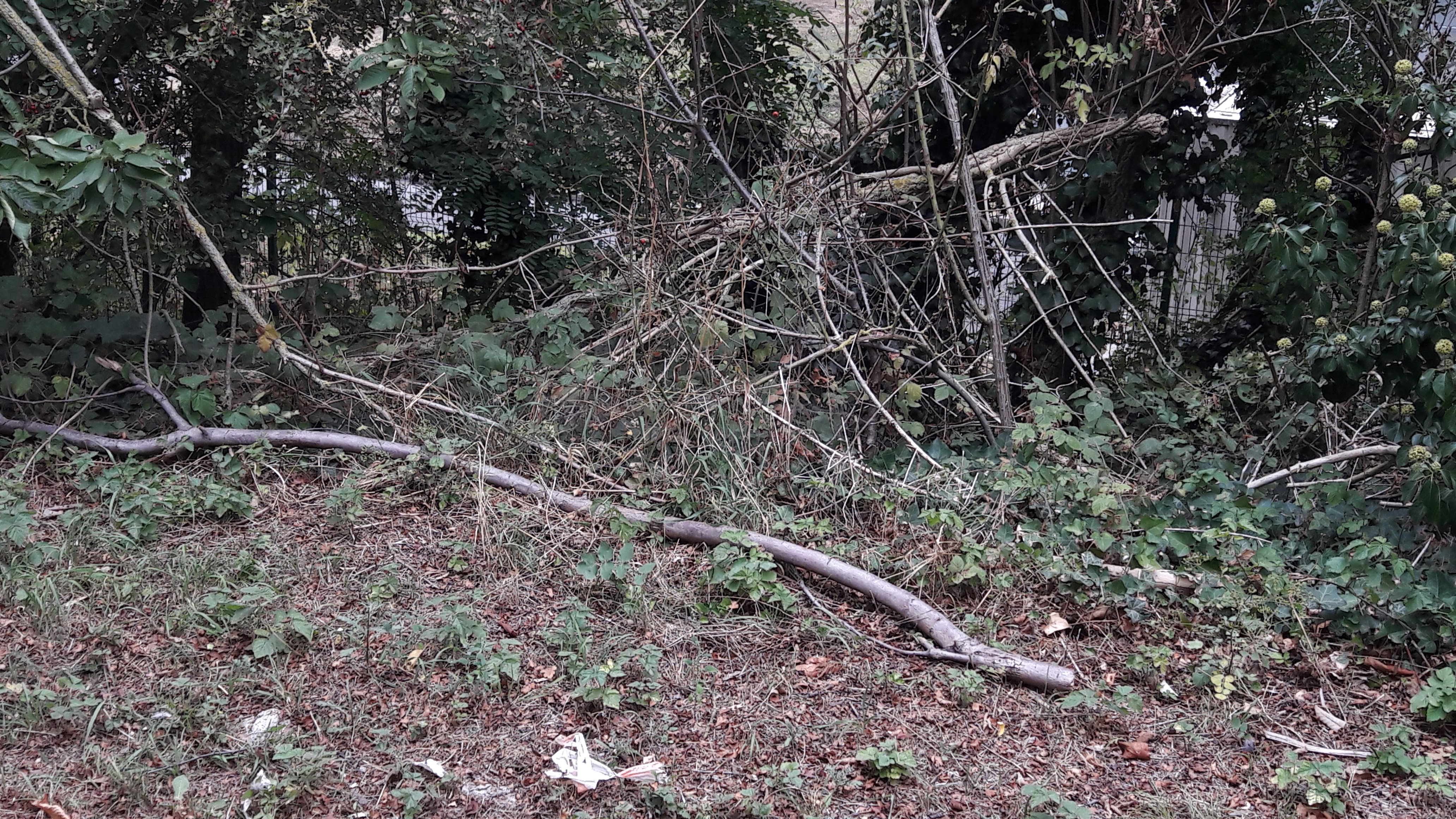 Photo n° 4 de l'avis de Alfa.l fait le 12/09/2019 à 04:09