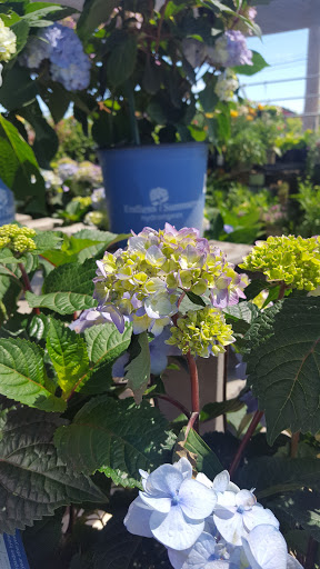 Hardware Store «Westlake Ace Hardware 088», reviews and photos, 3948 S Peoria Ave, Tulsa, OK 74105, USA