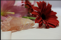 Peaceful Warrior Acupuncture - Photo 2 - Car repair in El Cajon, CA, Chula Vista