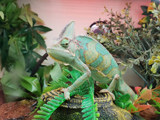 Pet Supply Store «Pet Supplies Plus», reviews and photos, 375 Paterson Ave #105, Wallington, NJ 07057, USA