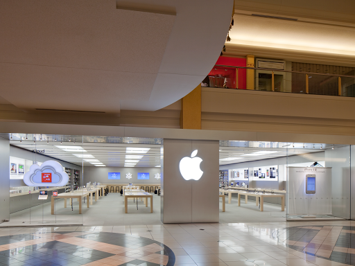 Apple stores Detroit