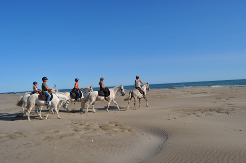 Ecurie des Dunes - promenade à cheval à Le Grau-du-Roi