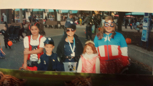 Discount Store «Big Lots», reviews and photos, 14155 Eureka Rd, Southgate, MI 48195, USA