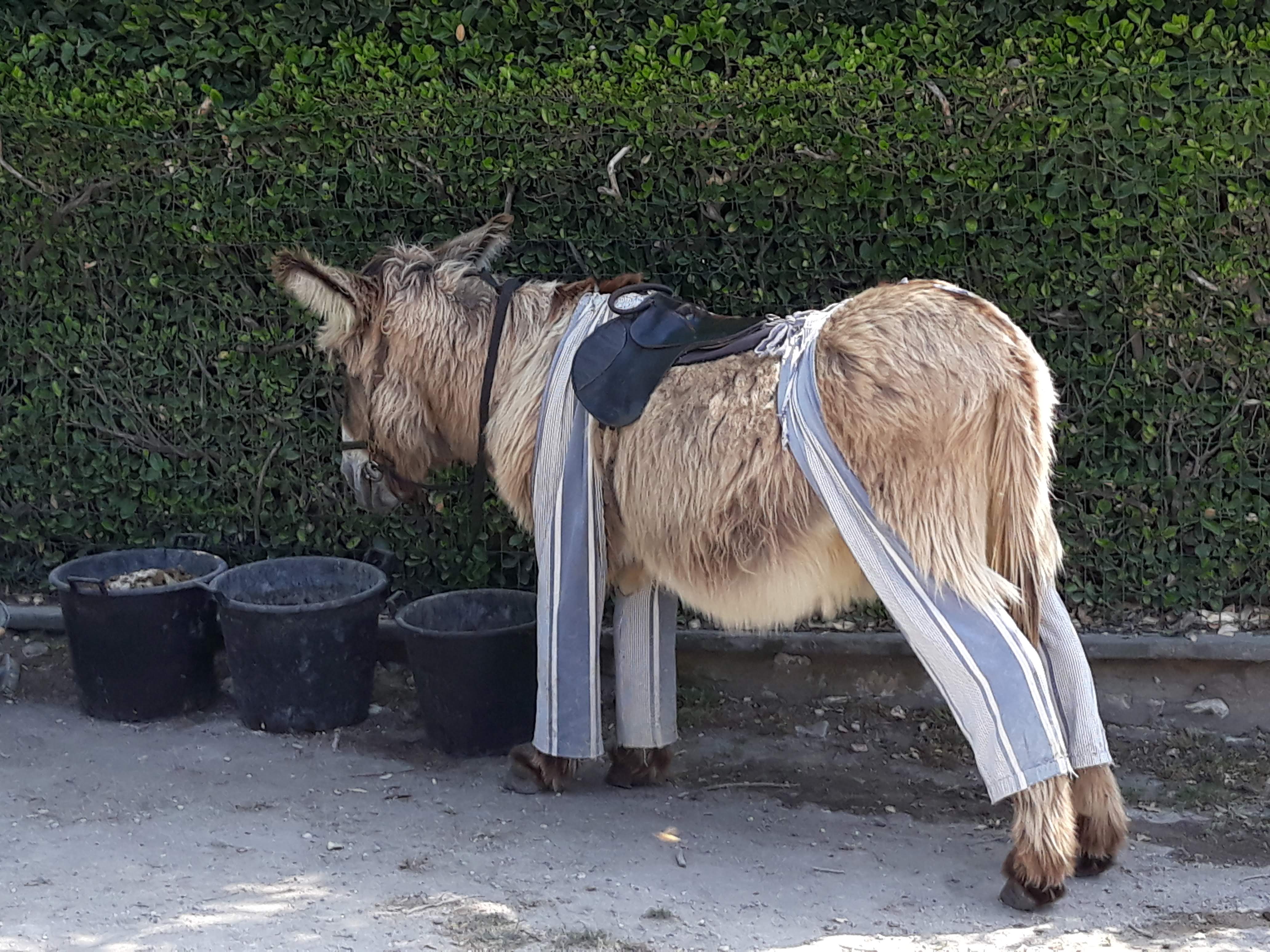 Photo n° 2 de l'avis de Olivier.o fait le 06/07/2019 à 22:28