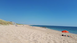 Plage du Magouero'in fotoğrafı vahşi alan