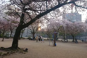 Hananoi Park image