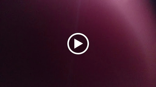 Concert Hall «The Token Lounge», reviews and photos, 28949 Joy Rd, Westland, MI 48185, USA