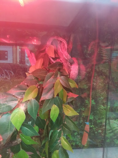 Animal Feed Store «Franklin Hardware & Pet Center», reviews and photos, 1975 Philadelphia Ave, Chambersburg, PA 17201, USA