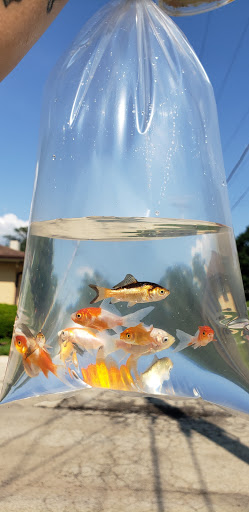 Pet Store «Gills And Thrills Pet Shop», reviews and photos, 204 E 8th St, Lockport, IL 60441, USA