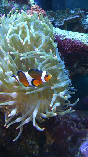 Pet Supply Store «Petco Animal Supplies», reviews and photos, 1049 S Willow St, Manchester, NH 03103, USA