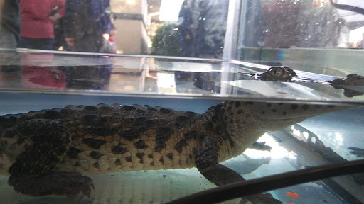 Personal Injury Attorney «Carl Reynolds Law», reviews and photos