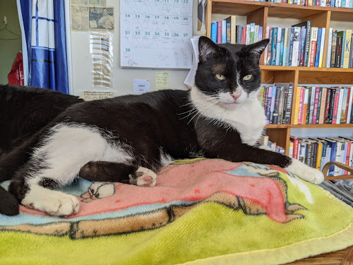 Book Store «From My Shelf Books & Gifts», reviews and photos, 7 East Ave #101, Wellsboro, PA 16901, USA