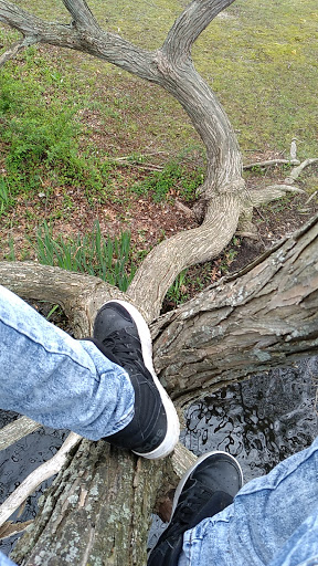 Park «Reverend Arthur Mackey Park», reviews and photos, 242 Elmwood Ave, Roosevelt, NY 11575, USA