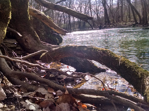 Park «Barfield Crescent Park», reviews and photos, 697 Veterans Pkwy, Murfreesboro, TN 37128, USA