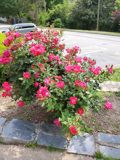 Park «Frankie Allen Park», reviews and photos, 100 Bagley St NE, Atlanta, GA 30305, USA