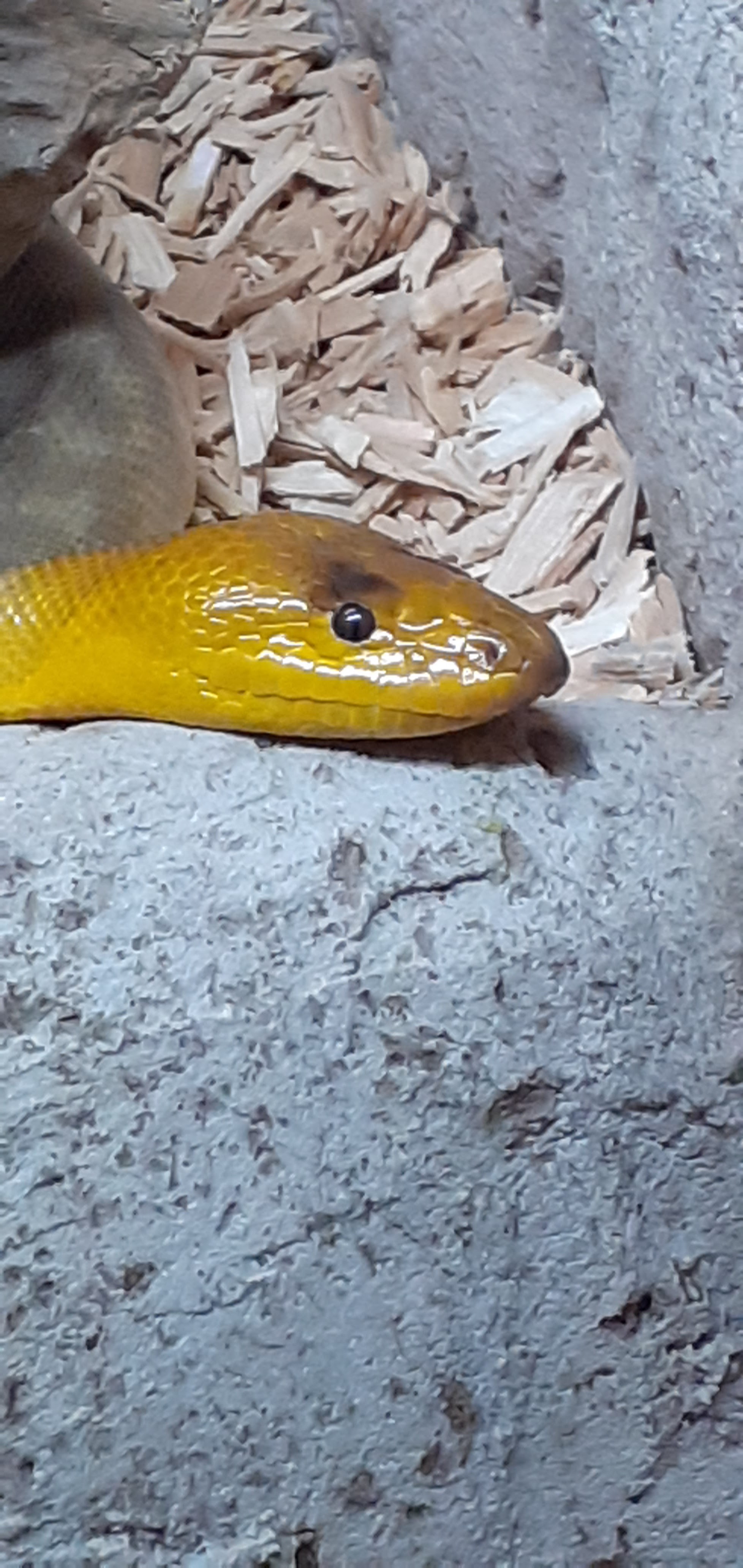 Photo n° 2 de l'avis de xavier.. fait le 15/08/2022 à 19:59