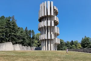 Monument to the Revolution "Mrakovica" (Spomenik Slobode) image