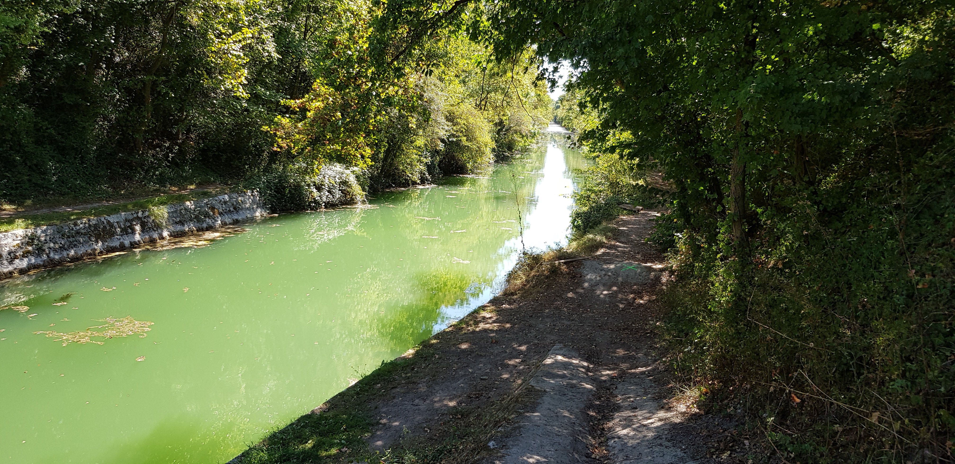 Photo n° 2 de l'avis de Philippe.e fait le 08/09/2019 à 09:36