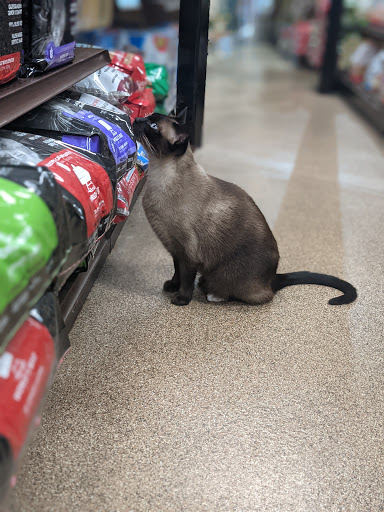 Pet Store «Pet Advantage», reviews and photos, 350 Dorset St # 1, South Burlington, VT 05403, USA