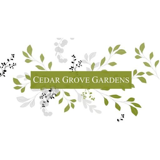 Florist «Cedar Grove Gardens», reviews and photos, 911 Adams St, Dorchester Center, MA 02124, USA