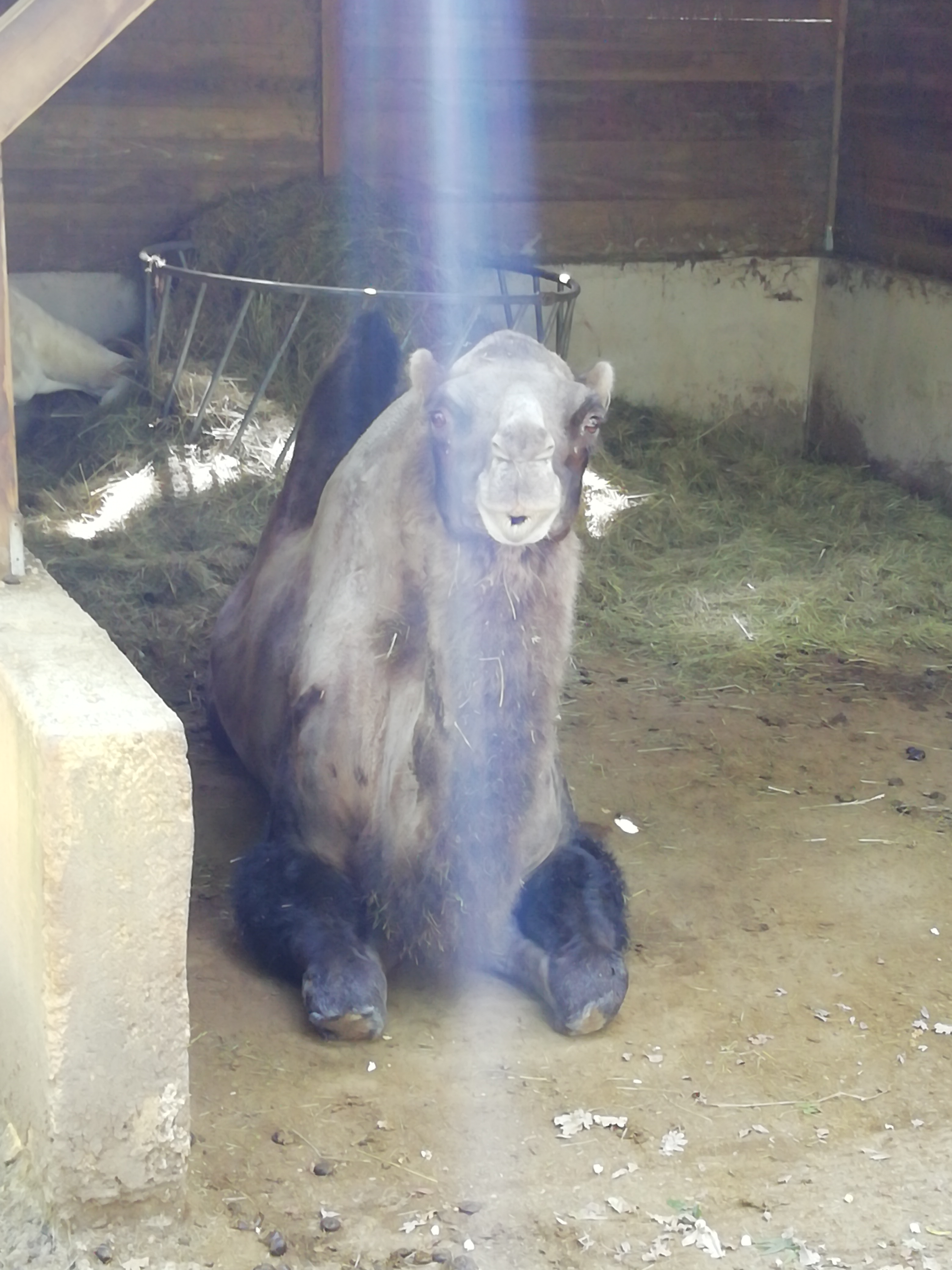 Photo n° 7 de l'avis de Franck.a fait le 23/06/2019 à 15:03