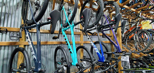 Bicycle Store «Bicycles Etc.», reviews and photos, 8036 Philips Hwy #8, Jacksonville, FL 32256, USA