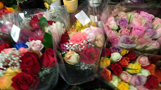 Grocery Store «Foodtown of Hollis», reviews and photos, 202-15 Hillside Avenue, Hollis, NY 11423, USA