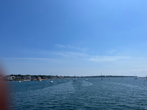 Whale Watching Tour Agency «Cape Ann Whale Watch», reviews and photos, 415 Main St, Gloucester, MA 01930, USA