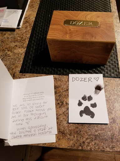 Tattoo Shop «Body Language Tattoo Columbus», reviews and photos, 1101 S Hamilton Rd, Columbus, OH 43227, USA