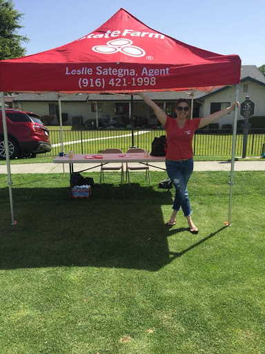 Leslie Sategna - State Farm Insurance Agent image