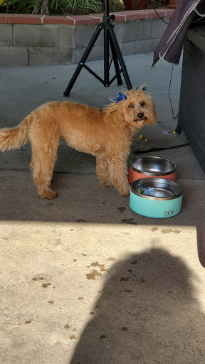 Pet Supply Store «PetSmart», reviews and photos, 11945 Central Ave, Chino, CA 91710, USA