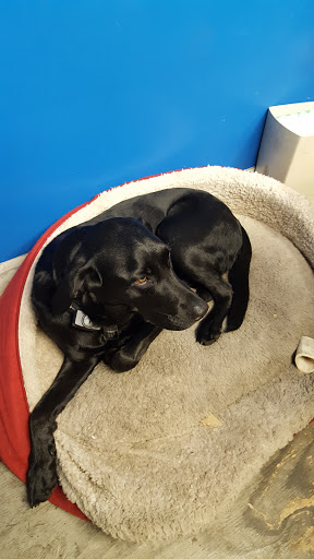 Bicycle Store «Tryon Bike», reviews and photos, 80 Rockwood Pl Suite 112, Rochester, NY 14610, USA