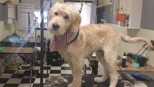 Pet Groomer «Ufuri Pet Salon», reviews and photos, 235 Huron Ave, Port Huron, MI 48060, USA