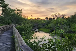 Shady Oaks Park image